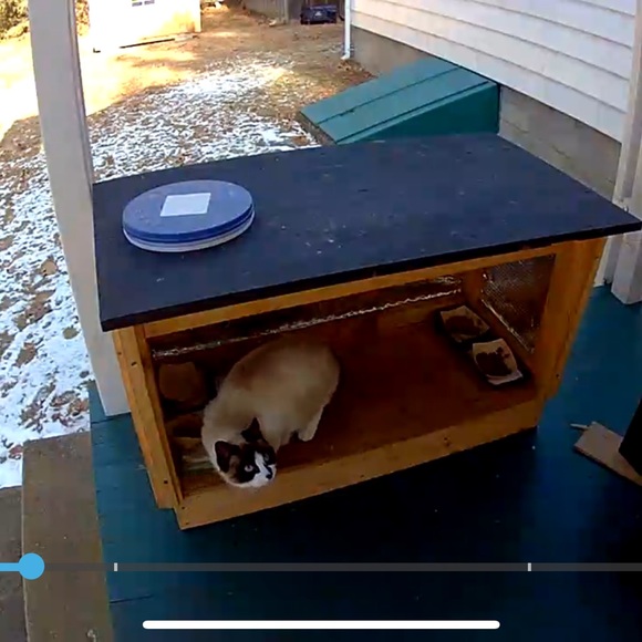 Meet your Posher, Mel - Picture 4 of 7